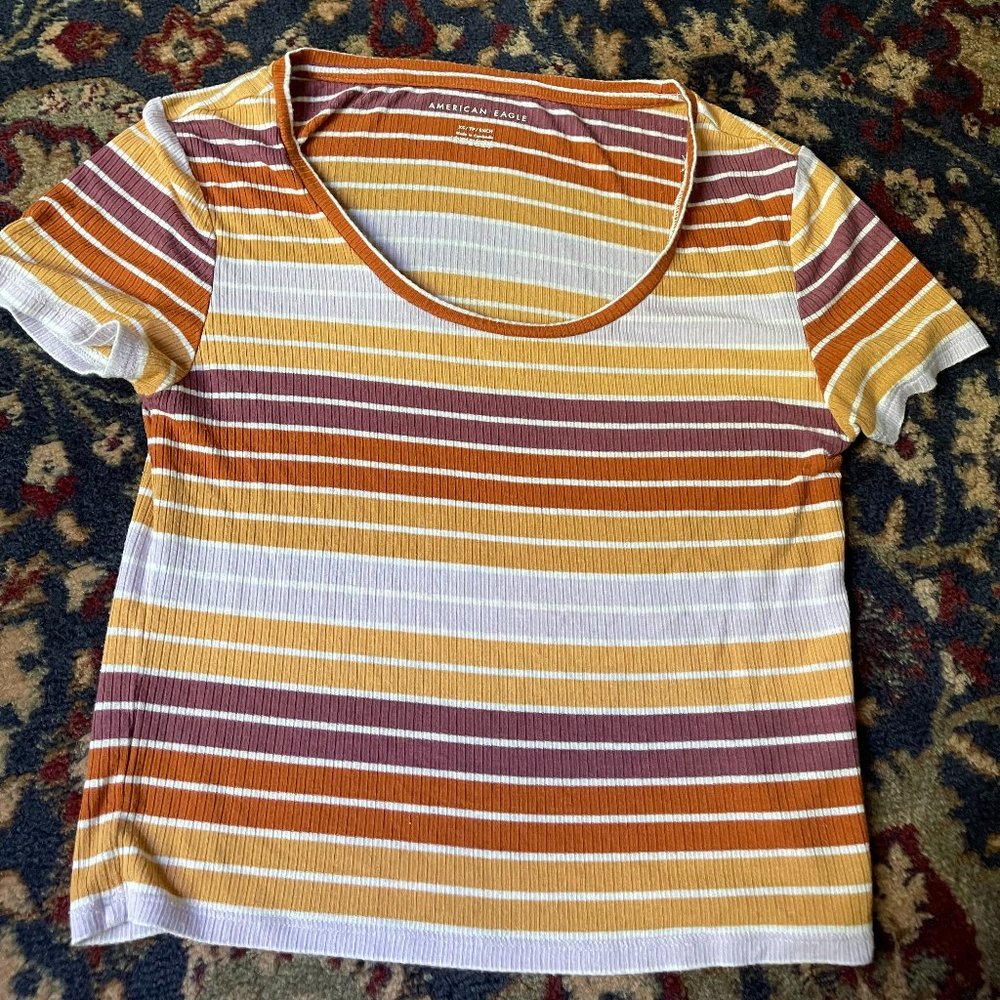 Striped American Eagle Crop Top